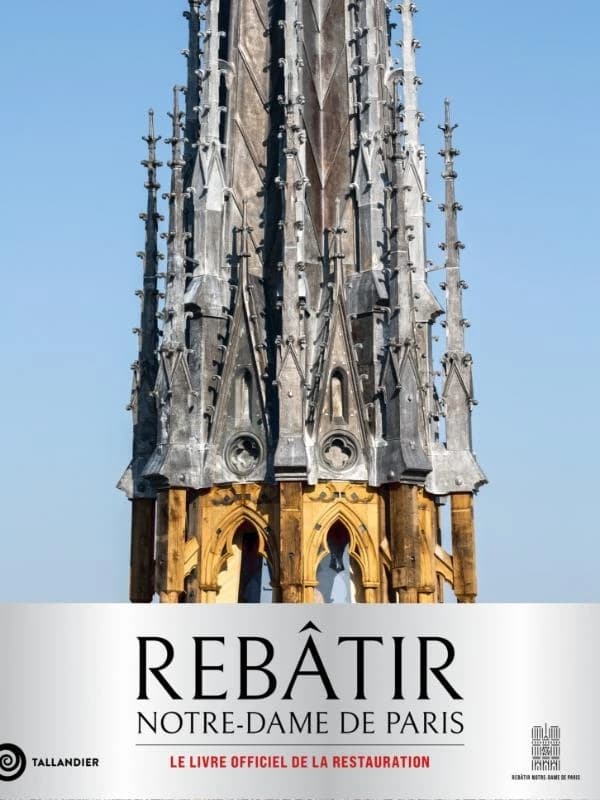 Rebâtir Notre-Dame de Paris (Édition augmentée collector) textes, Mathieu Lours ; photographies, David Bordes, Romaric Toussaint, Patrick Zachmann