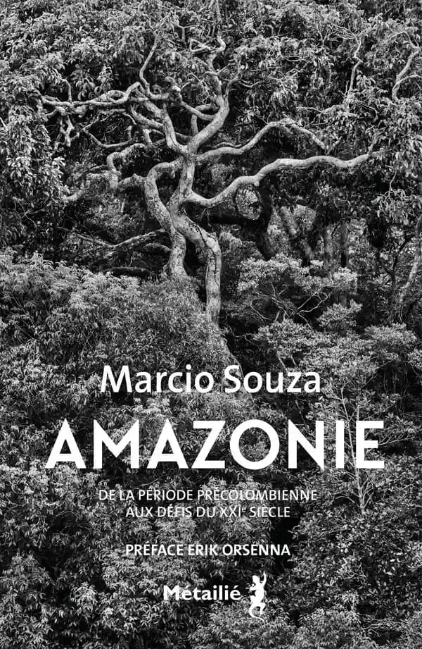 Amazonie : histoire de la période précolombienne aux défis du XXIe siècle