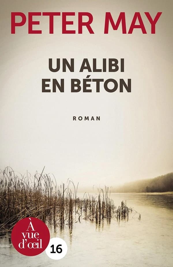 Un alibi en béton ([Éd. en gros caractères]) Peter May ; traduit de l'anglais par Ariane Bataille