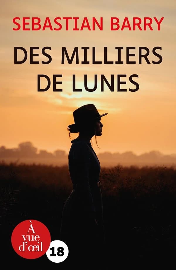 Des milliers de lunes : roman ([Éd. en gros caractères]) Sebastian Barry ; traduit de l'anglais (Irlande) par Laetitia Devaux