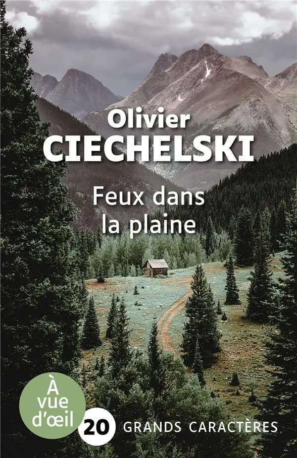 Feux dans la plaine : roman ([Éd.] en grands caractères) Olivier Ciechelski