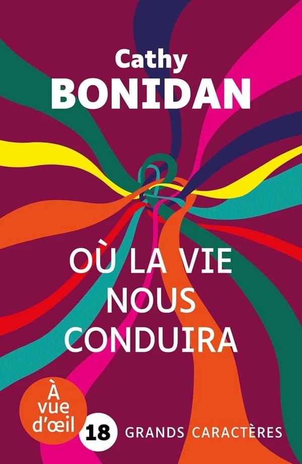 Où la vie nous conduira (Éd. en grands caractères) Cathy Bonidan