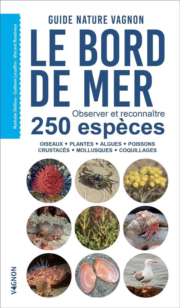 Le bord de mer : guide nature Vagnon : observer et reconnaître 250 espèces, oiseaux, plantes, algues, poissons, crustacés, mollusques, coquillages