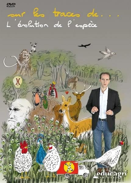 L'évolution de l'espèce : une affaire de séduction