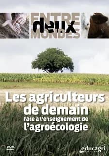 Entre deux mondes (dvd)