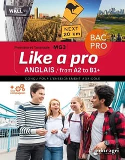 Anglais bac pro
