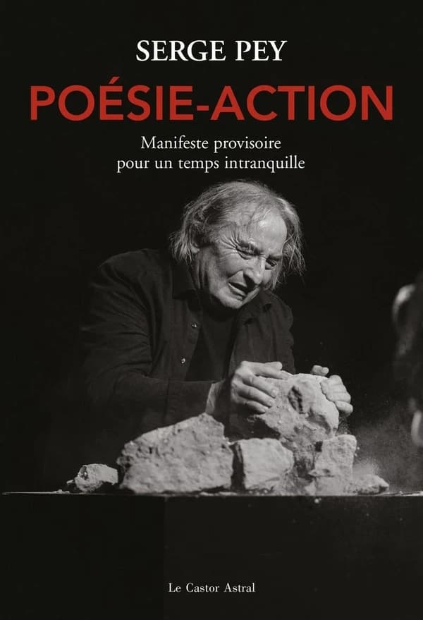 Poésie-action : manifeste provisoire pour un temps intranquille
