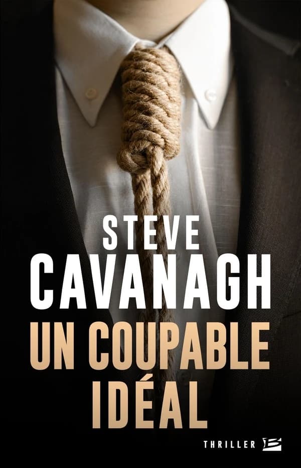 Un coupable idéal : une aventure d'Eddie Flynn