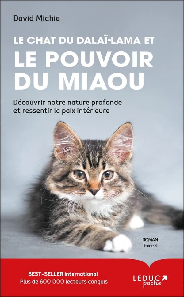 Le chat du dalaï lama et le pouvoir du miaou : roman