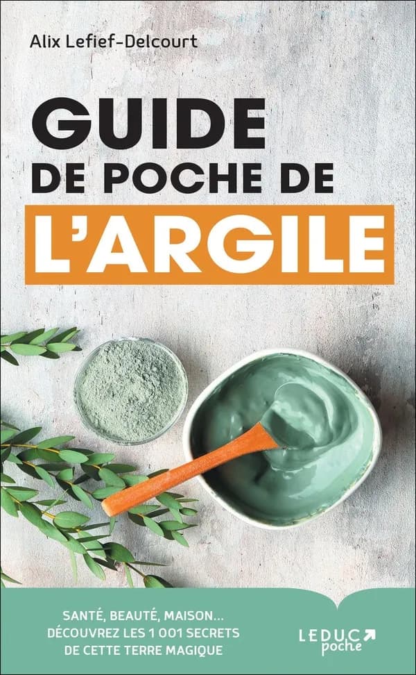 Guide de poche de l'argile (Nouvelle éd. mise à jour) Alix Lefief-Delcourt