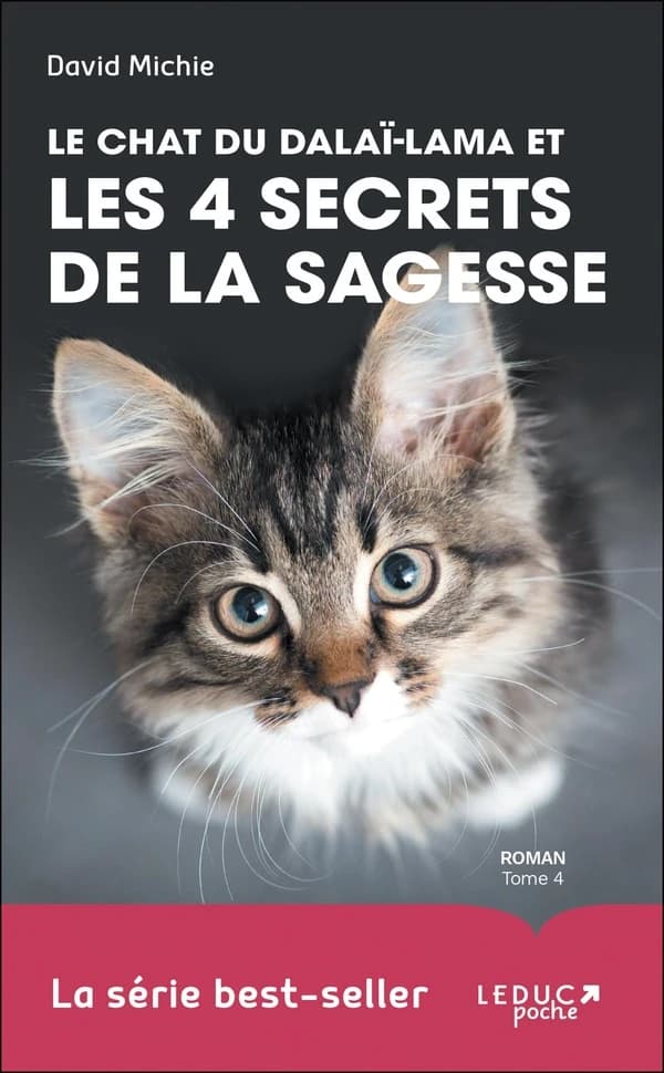 Le chat du dalaï lama et les 4 secrets de la sagesse : roman