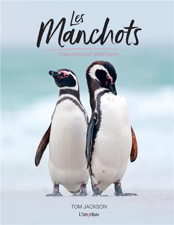 Les manchots : Fascinants et attachants