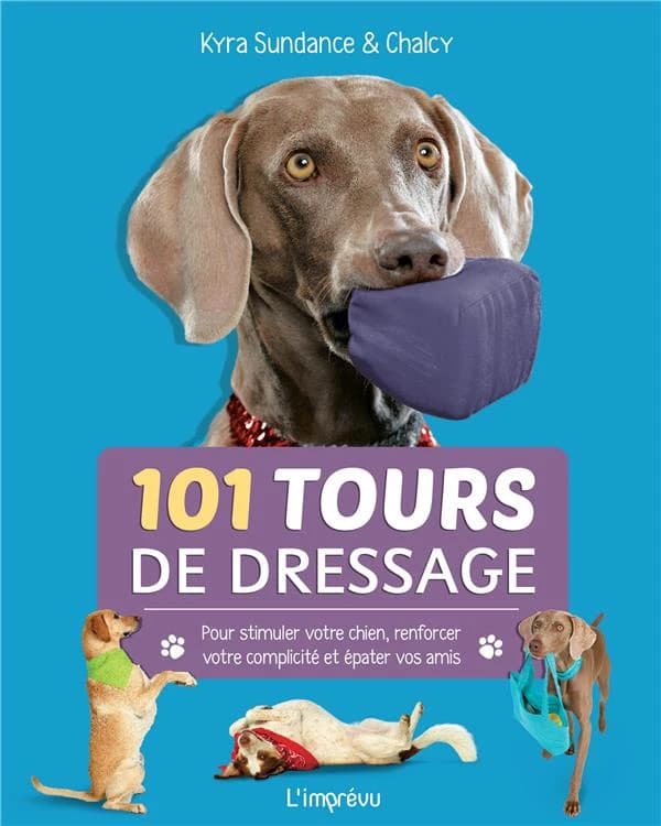 101 tours de dressage : Pour stimuler votre chien, renforcer votre complicité et épater vos amis.