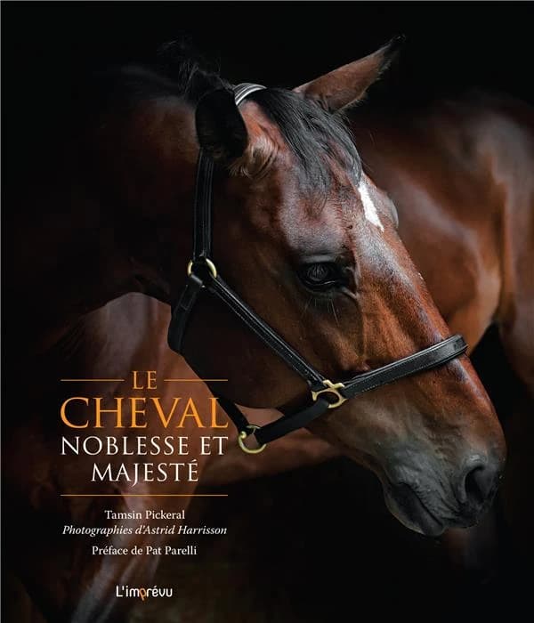 Le cheval : noblesse et majesté