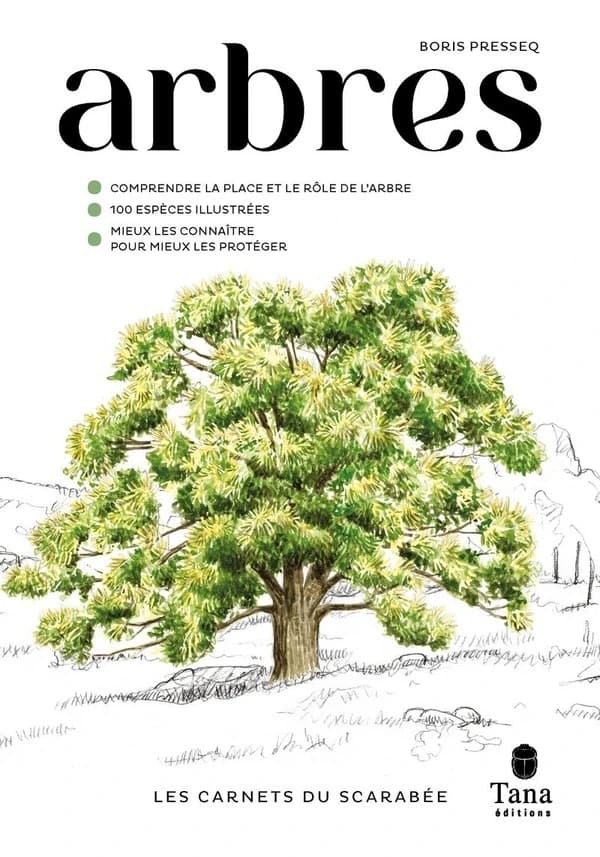 Arbres