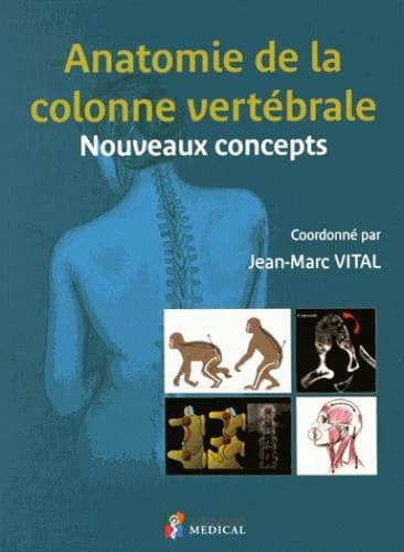 Anatomie de la colonne vertébrale : nouveaux concepts