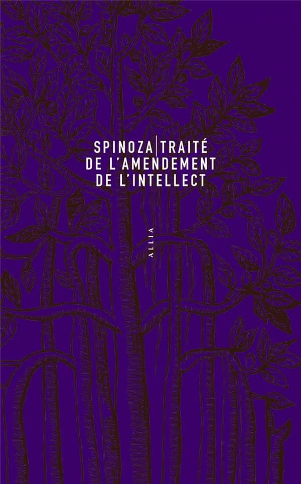 Traité de l'amendement de l'intellect