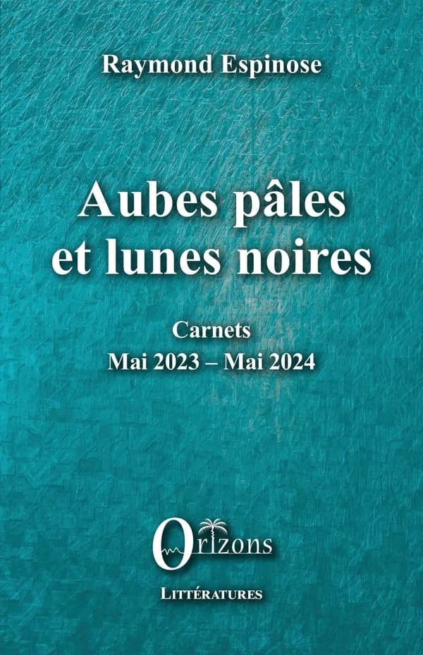 Aubes pâles et lunes noires : carnets, mai 2023-mai 2024