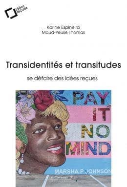 Transidentités et transitudes: Se défaire des idées reçues