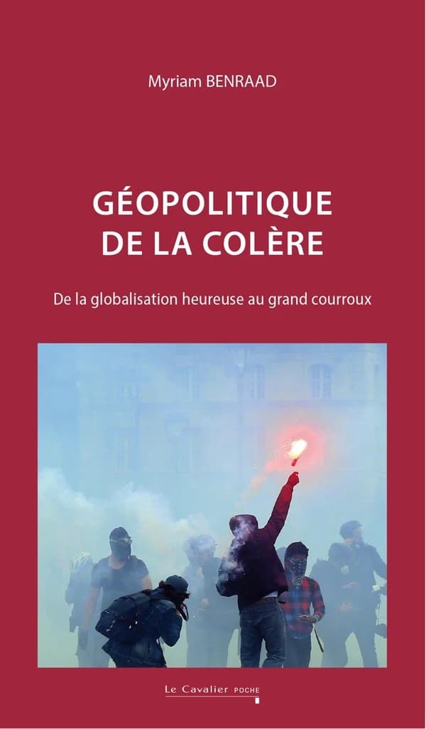 Géopolitique de la colère : de la globalisation heureuse au grand courroux (2e éd. revue) Myriam Benraad
