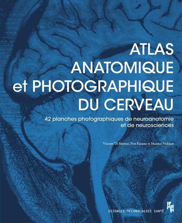 Atlas anatomique et photographique du cerveau : 42 planches, dont 41 photographiques, pour les passionnés de neuroanatomie et de neurosciences
