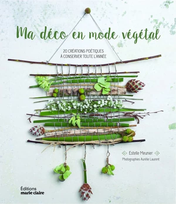 Ma déco en mode végétal : 20 créations poétiques à conserver toute l'année