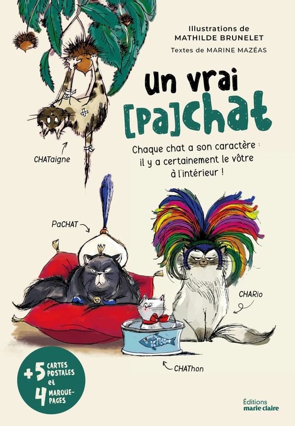 Un vrai pa-chat : chaque chat a son caractère, il y a certainement le vôtre à l'intérieur !