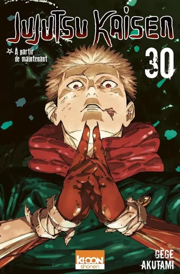 Jujutsu kaisen. 30