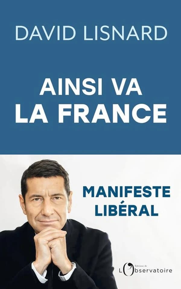 Ainsi va la France : et comment elle pourrait aller mieux