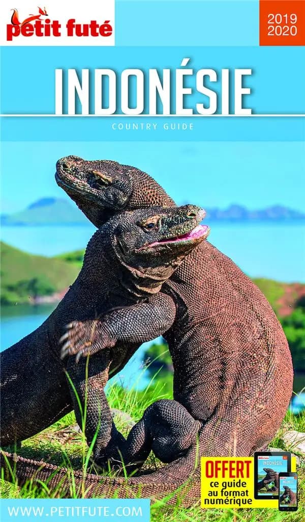 Indonésie ([Éd.] 2019-2020)