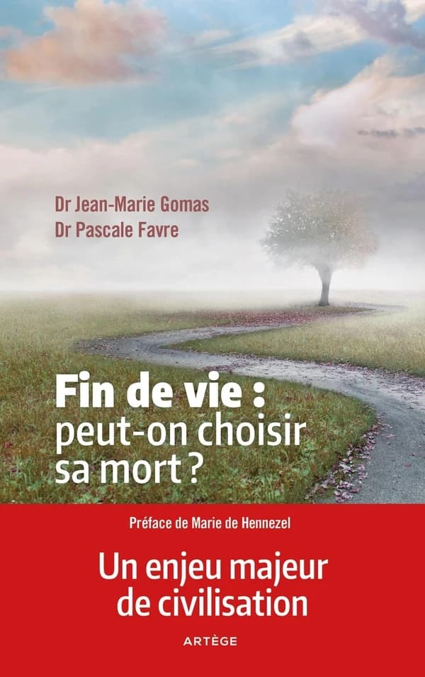 Fin de vie, peut-on choisir sa mort ? : l'euthanasie n'est pas la solution