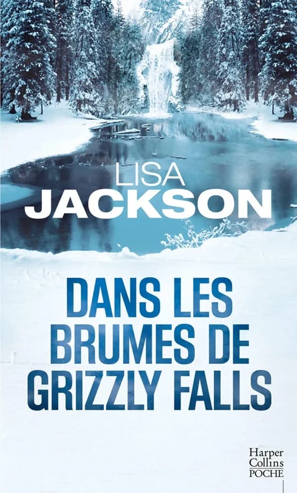 Dans les brumes de Grizzly Falls : roman