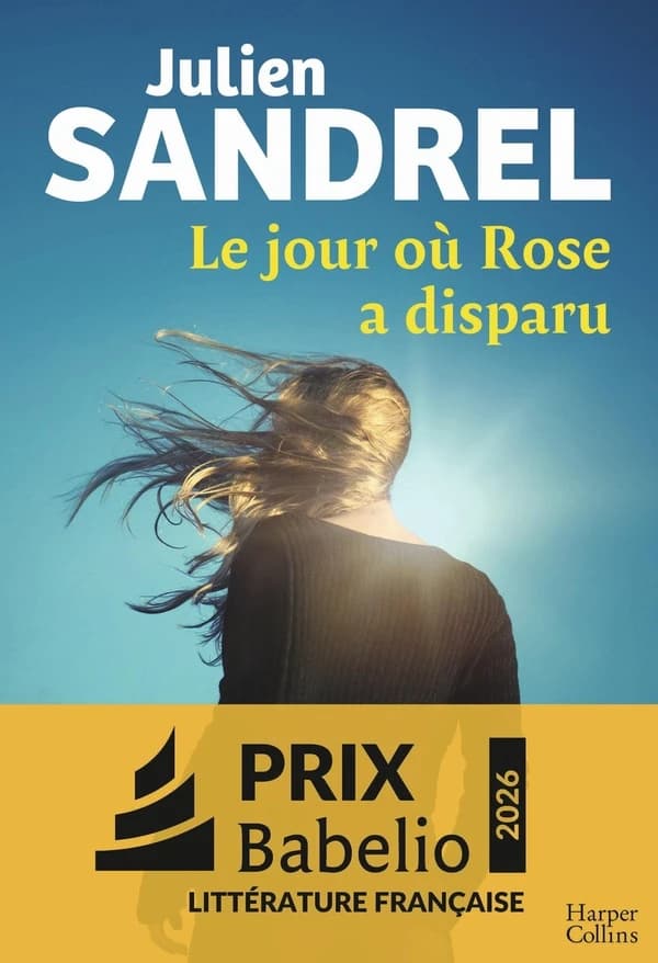 Le jour où Rose a disparu : roman