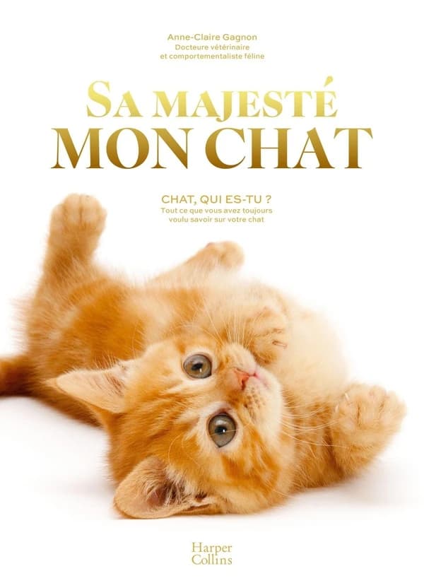 Sa majesté mon chat : chat, qui es-tu ? : tout ce que vous avez toujours voulu savoir sur votre chat