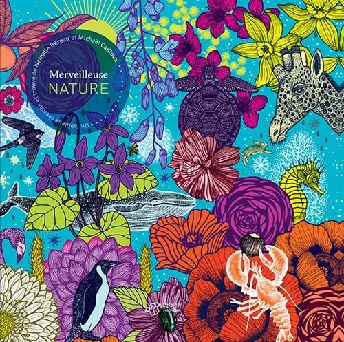 Merveilleuse nature : un fabuleux cherche et trouve de Nathalie Béreau et Michaël Cailloux