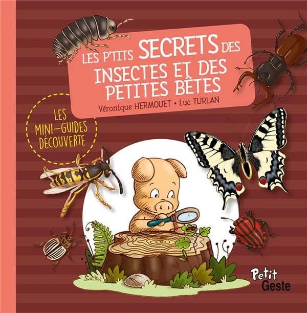 Les p'tits secrets des insectes et petites bêtes
