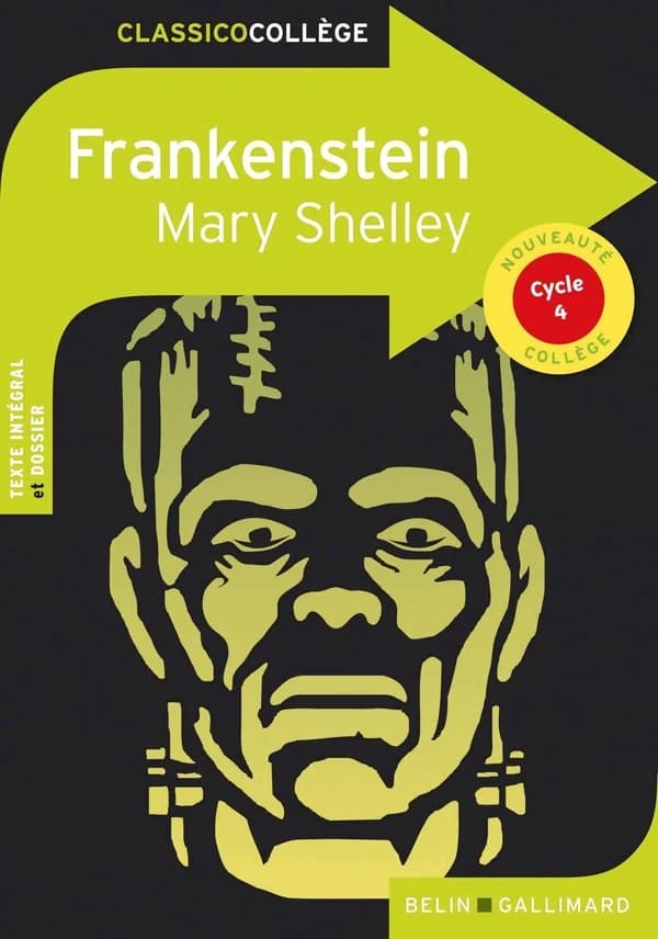 Frankenstein : ou le Prométhée moderne