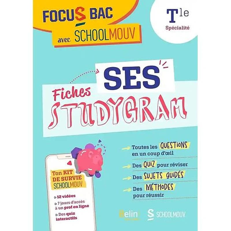 SES, fiches studygram ; terminale spécialité