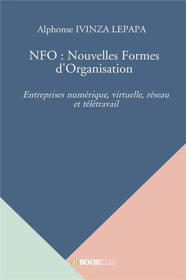 NFO : nouvelles formes d'organisation ; entreprises numérique, virtuelle, réseau et télétravail
