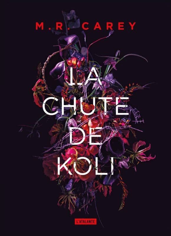 La chute de Koli