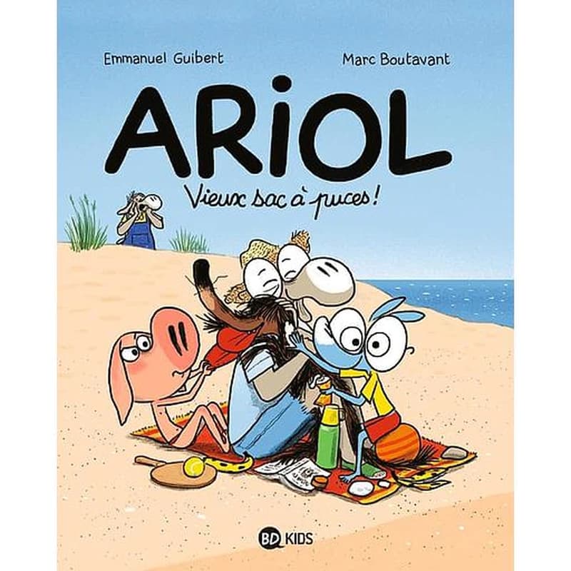 Vieux sac à puces