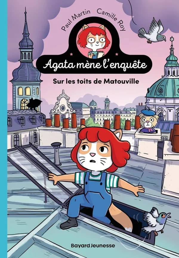 Sur les toits de Matouville