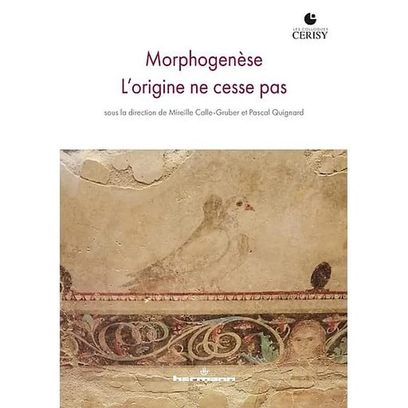 Morphogenèse : l'origine ne cesse pas