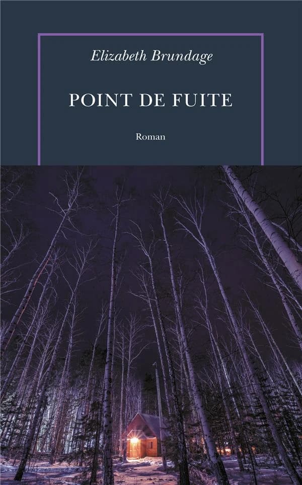 Point de fuite : roman
