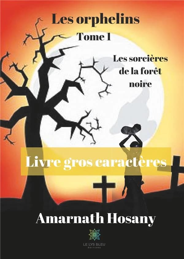 Les orphelins t.1 ; les sorcières de la forêt noire