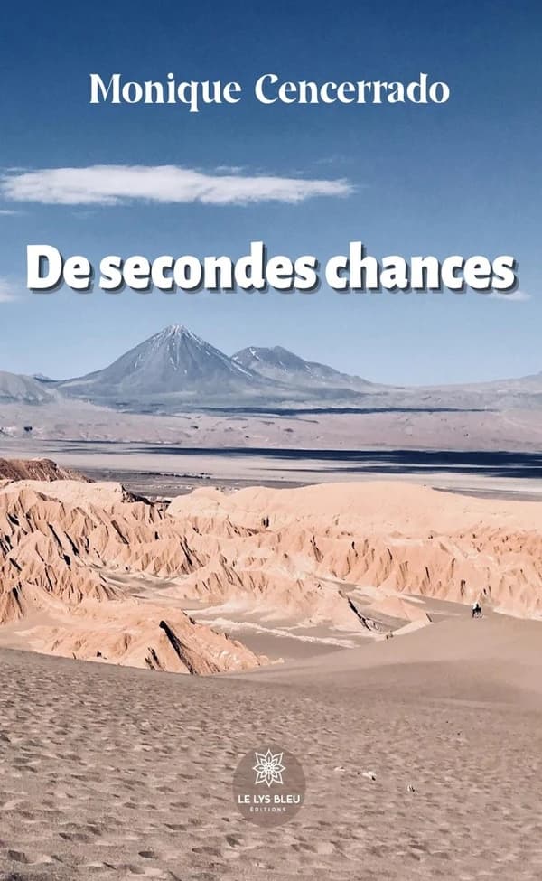 De secondes chances : roman