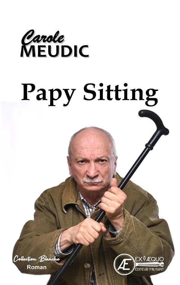 Papy-sitting : roman