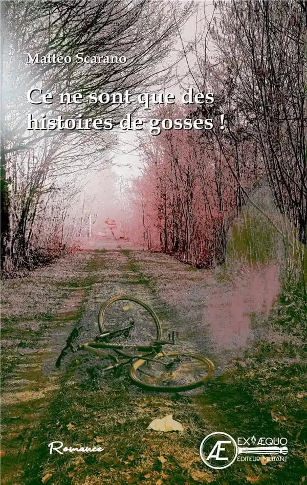 Ce ne sont que des histoires de gosses ! : roman