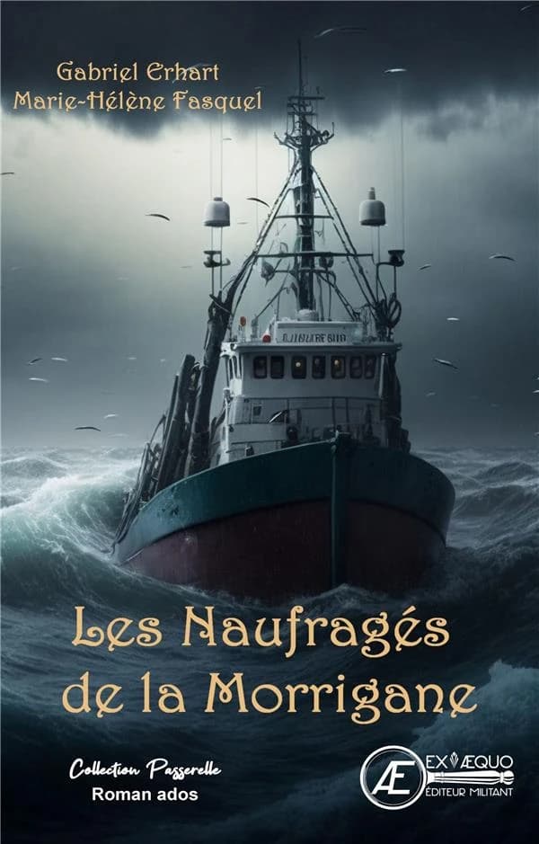 Les naufragés de la Morrigane : roman jeunesse