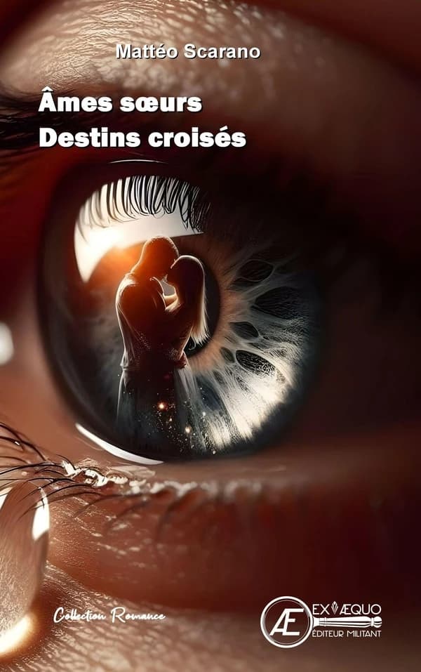 Âmes soeurs, destins croisés : roman